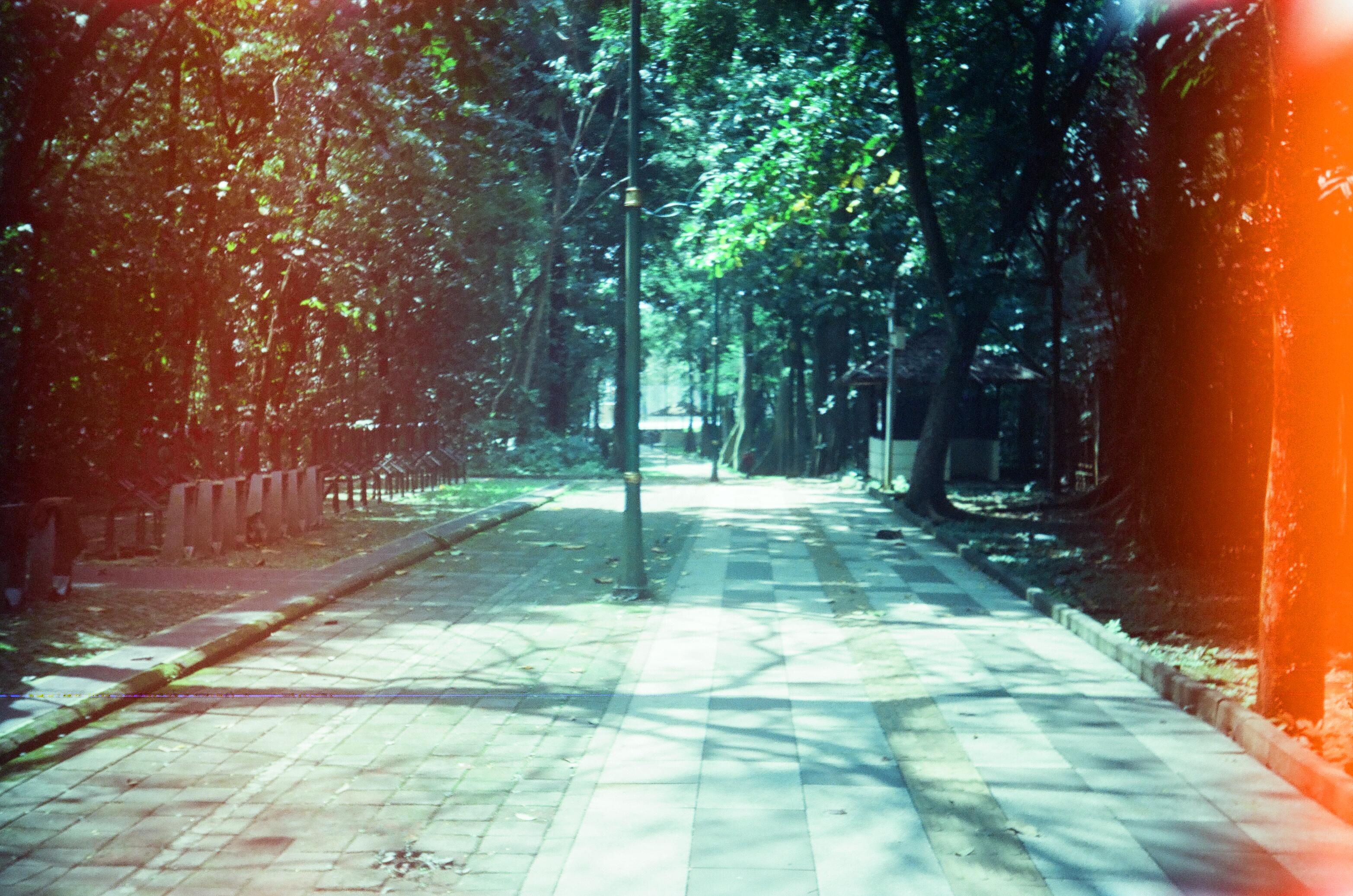 Galeri Foto Jurnal Visual Kevin